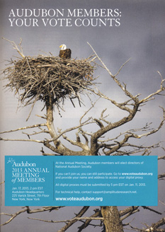 Audubon Magazine