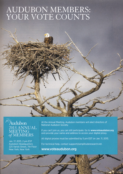 Audubon Magazine