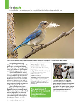 Birdwatching Magazine