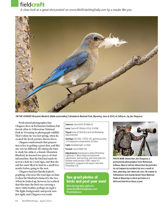 BirdWatching Magazine