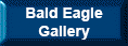 Ball Eagle Gallery
