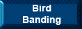 Bird Banding