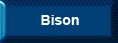 Bison
