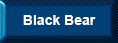 Black Bear