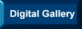 Digital Gallery