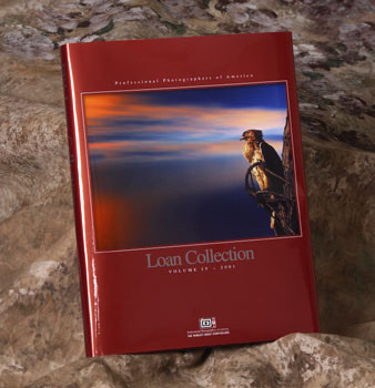 Loan Collection Book