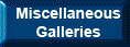 Miscellaneous Galleries