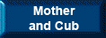 Mother and Cub