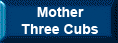 Mother Three Cubs