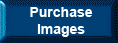 Purchase Images