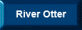 River Otter