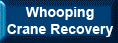 Whooping Crane Recovery