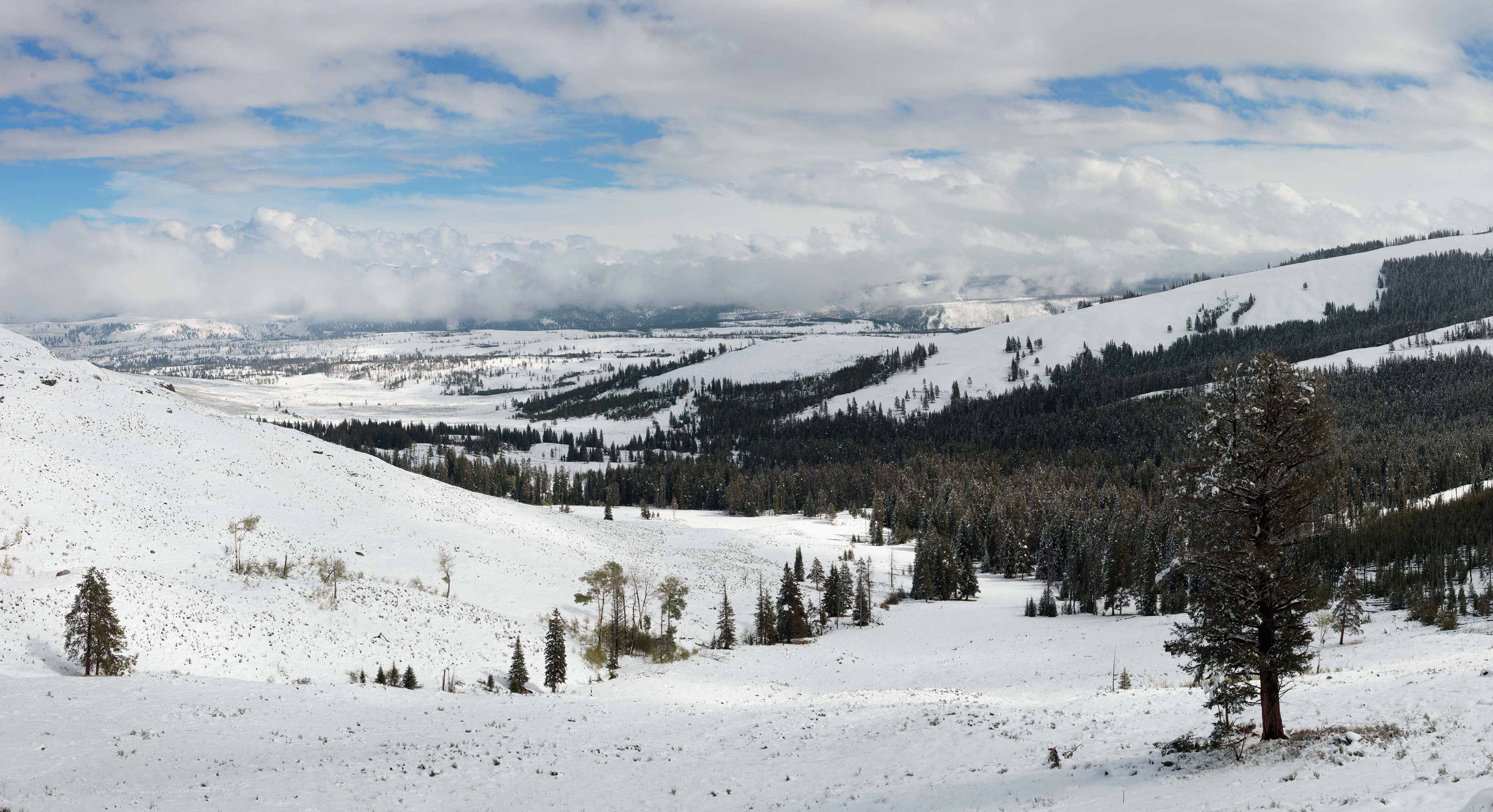 Yellowstone