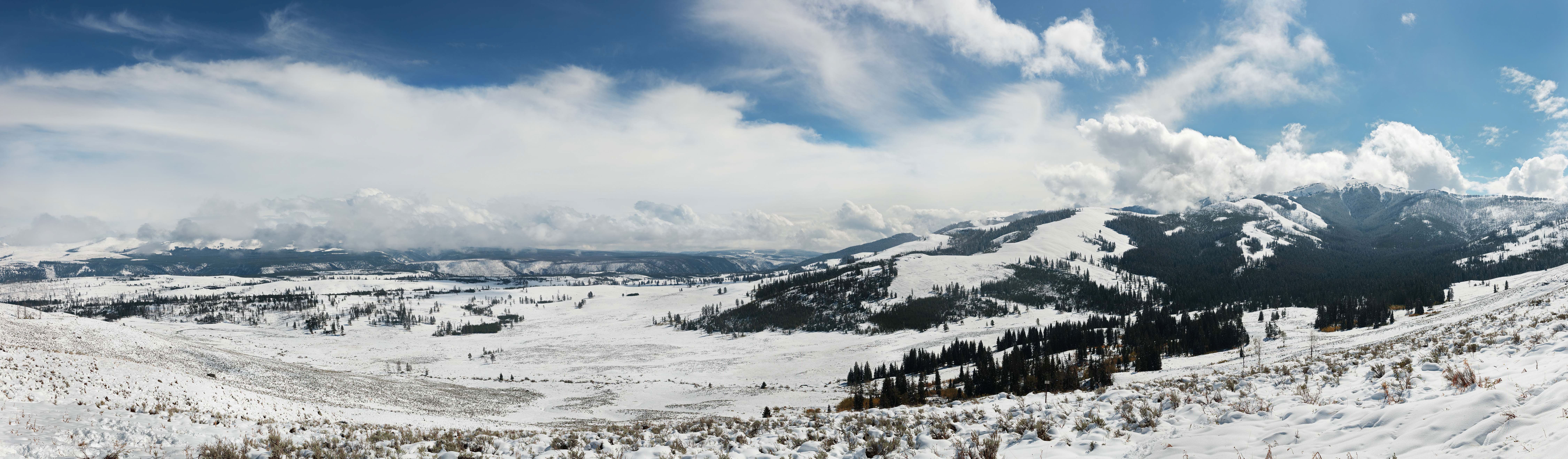 Yellowstone
