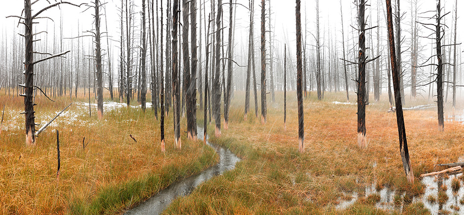 Yellowstone