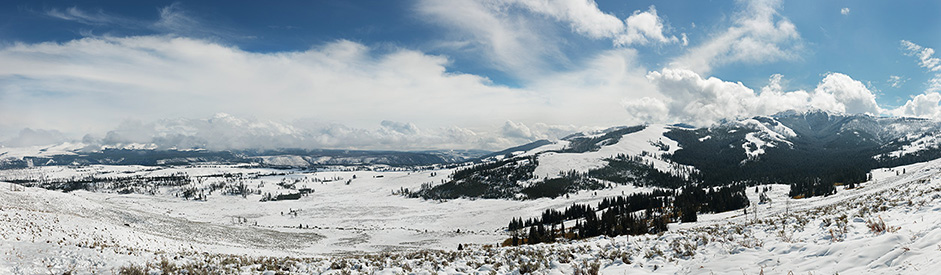 Yellowstone