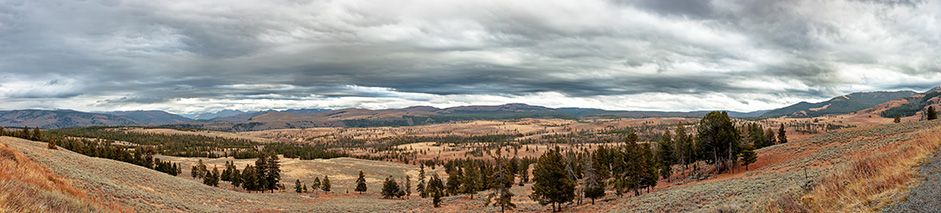 Yellowstone